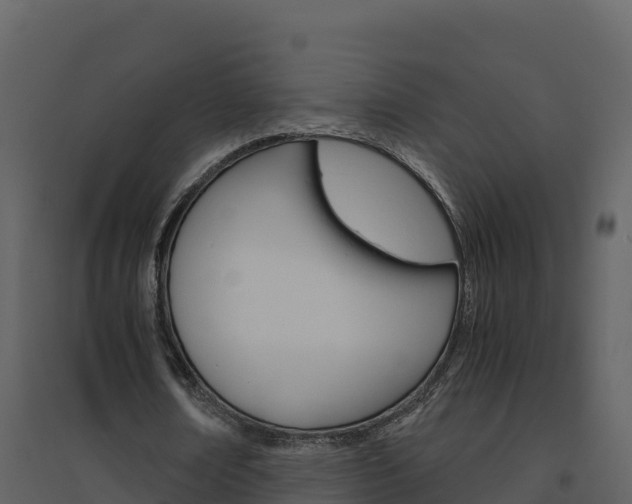 X0000094800674200711160941