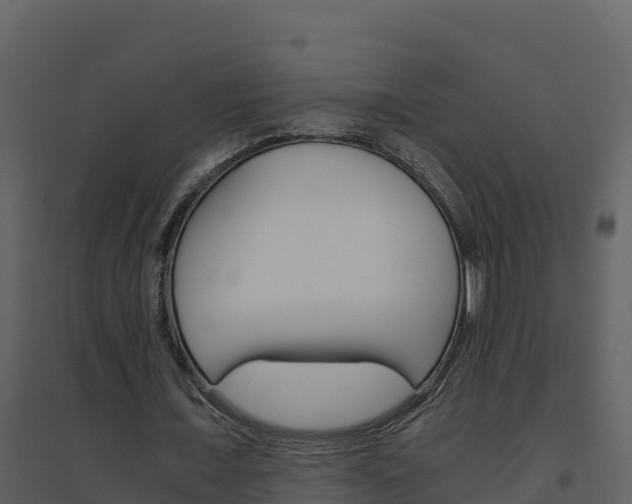 X0000094800675200711160941