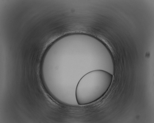 X0000094800677200711160941