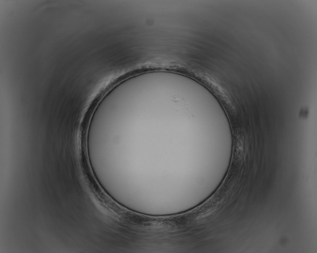 X0000094800678200711160941