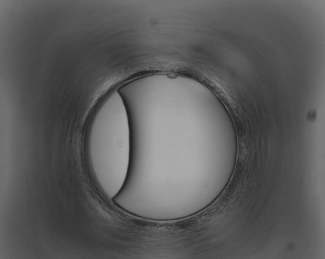 X0000094800679200711160941