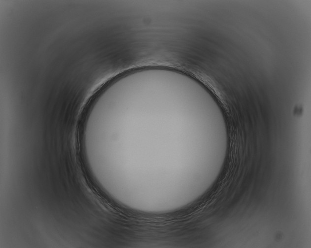 X0000094800680200711160941