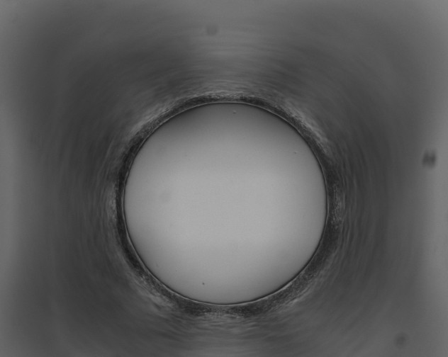 X0000094800681200711160941