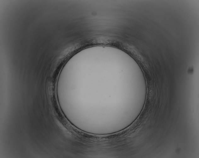 X0000094800683200711160941