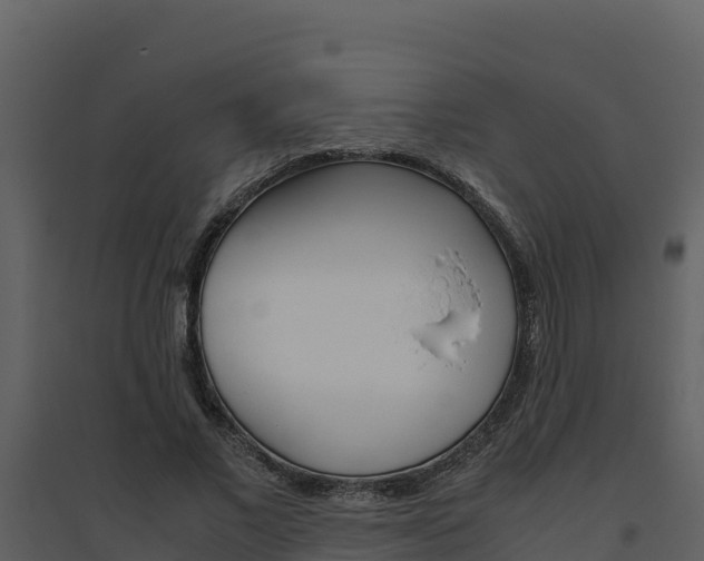 X0000094800685200711160941