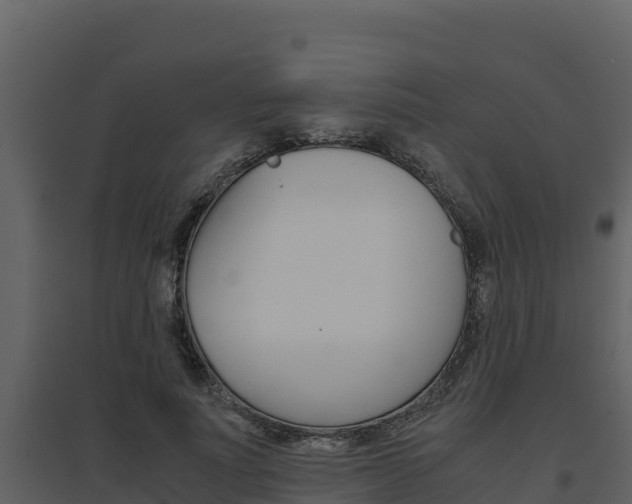 X0000094800691200711160941