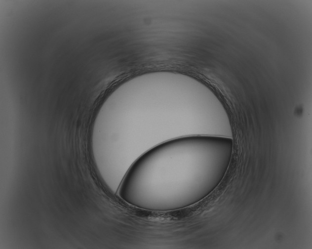 X0000094800693200711160941