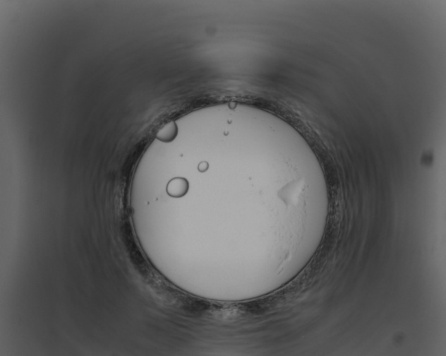 X0000094800695200711160941