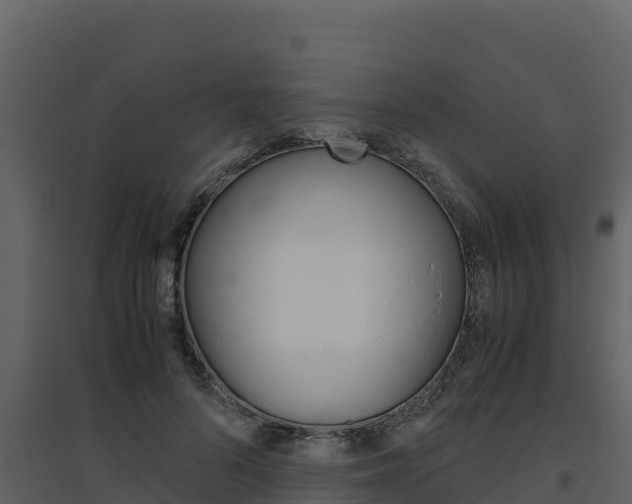 X0000094800696200711160941