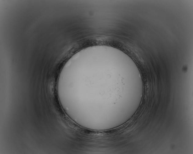 X0000094800698200711160941