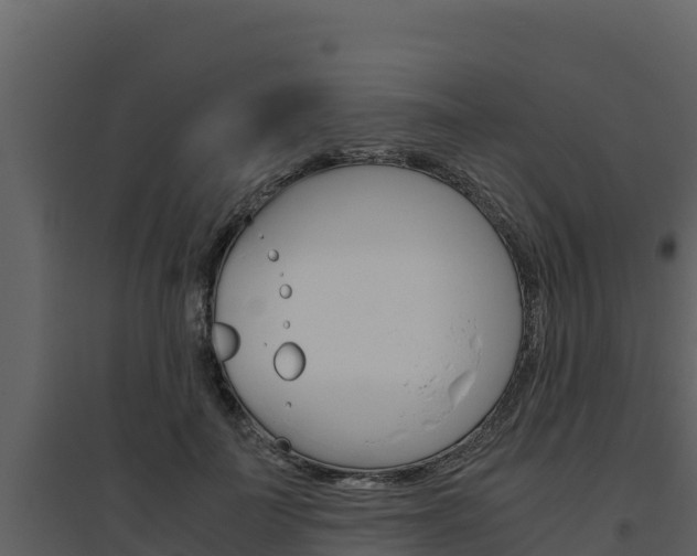 X0000094800699200711160941