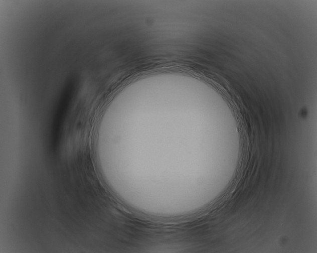 X0000094800701200711160941