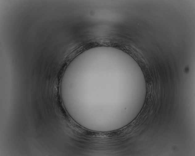 X0000094800702200711160941