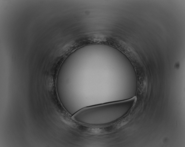 X0000094800704200711160941