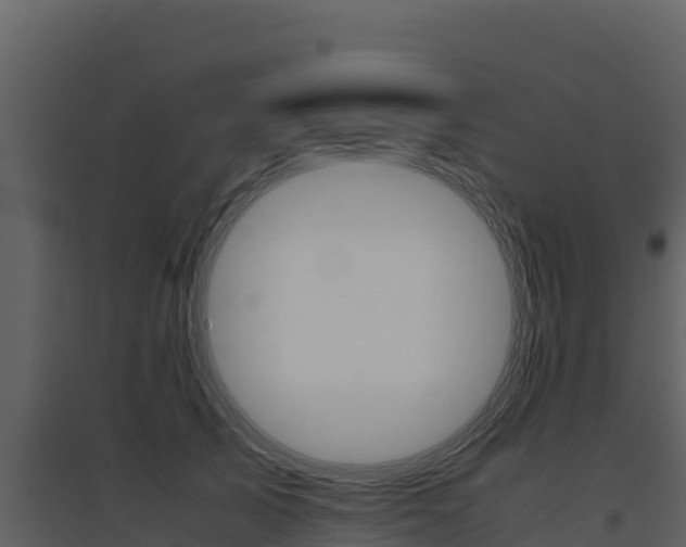 X0000094800705200711160941