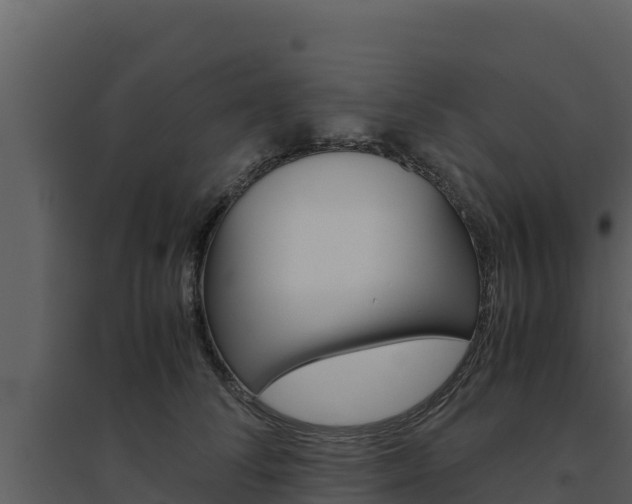 X0000094800708200711160941