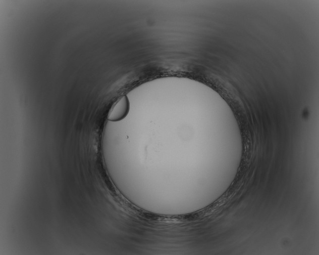 X0000094800710200711160941