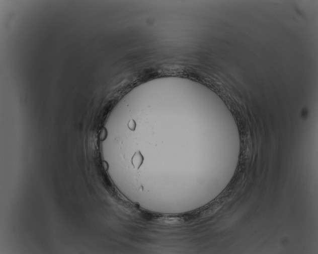 X0000094800711200711160941