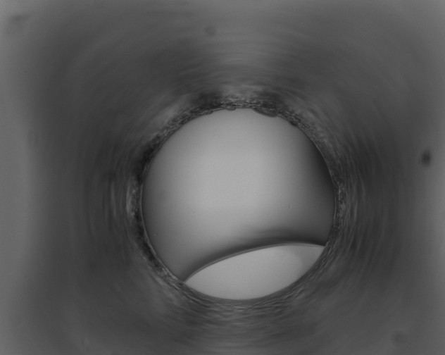 X0000094800712200711160941