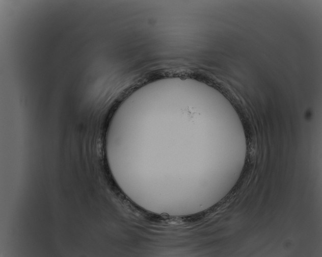 X0000094800715200711160940