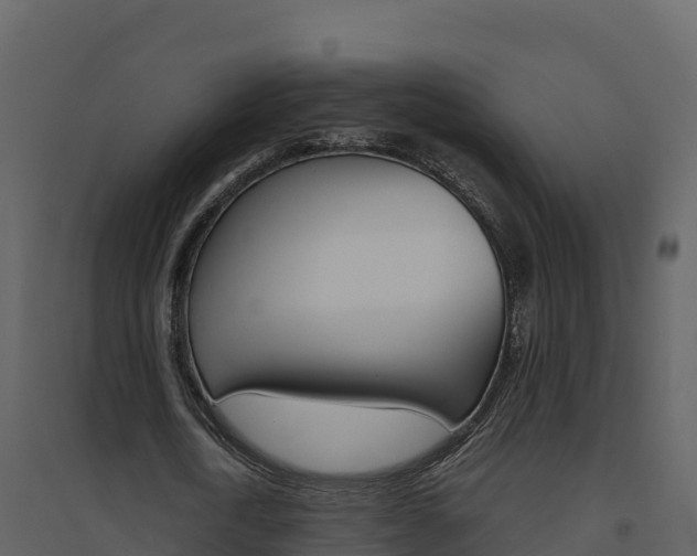 X0000094800722200711160940