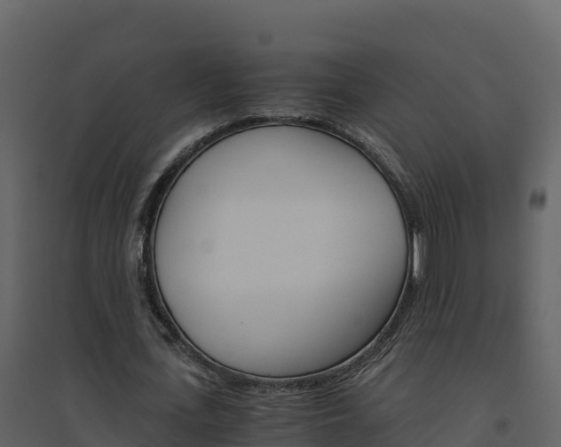 X0000094800723200711160940