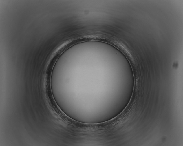 X0000094800724200711160940