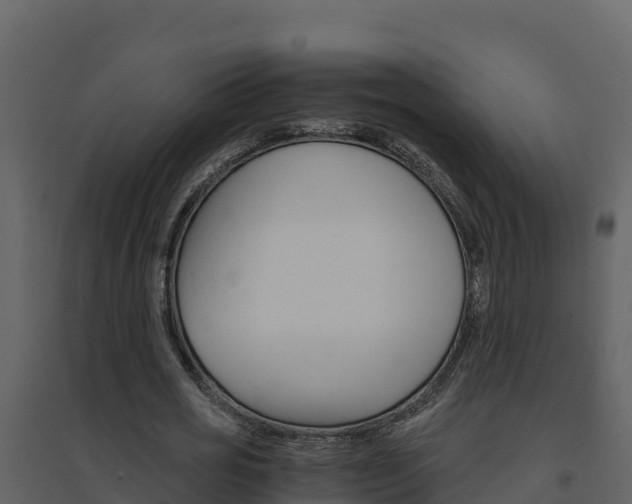X0000094800725200711160940