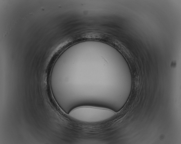 X0000094800727200711160940