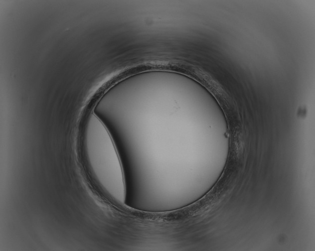 X0000094800728200711160940