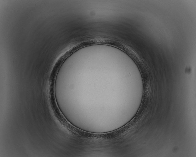 X0000094800730200711160940