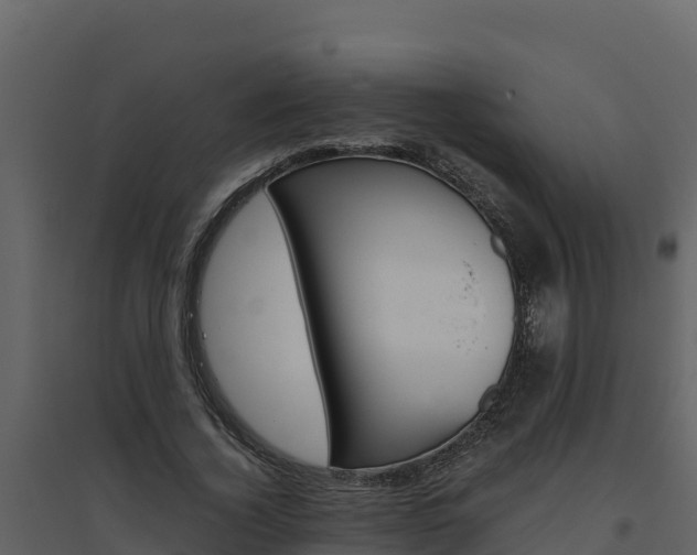 X0000094800732200711160940
