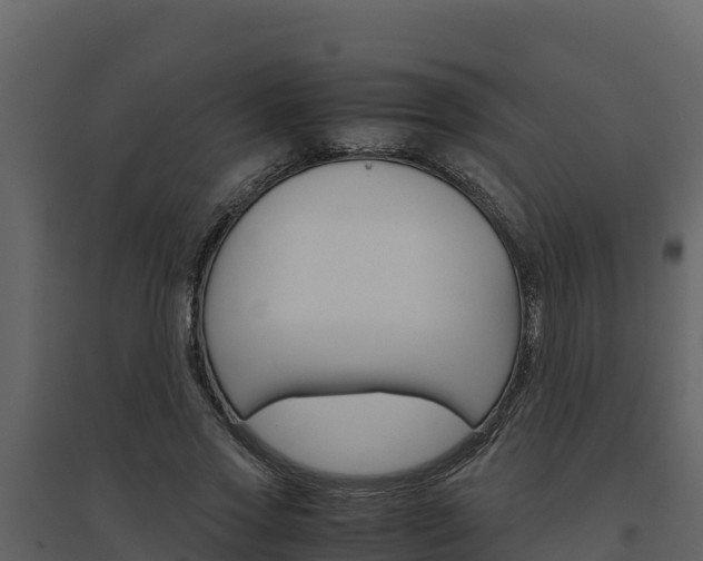 X0000094800733200711160940