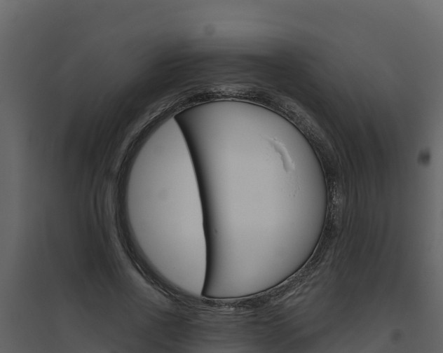 X0000094800734200711160940