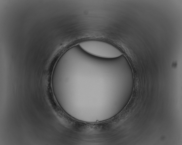 X0000094800736200711160940