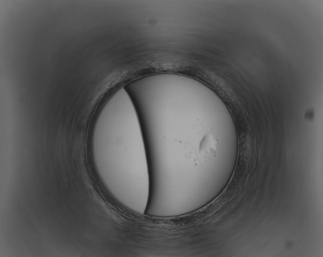 X0000094800738200711160940