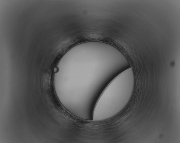 X0000094800739200711160940