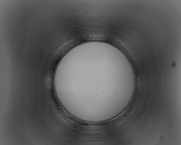 X0000094800741200711160940