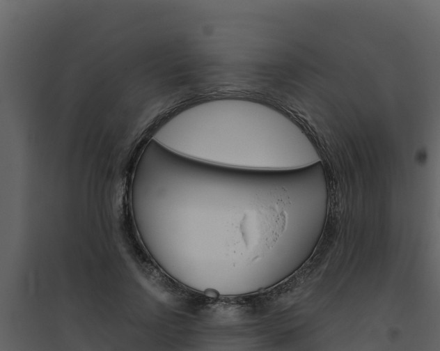X0000094800742200711160940