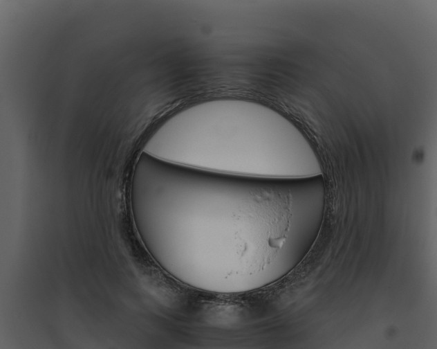 X0000094800743200711160940