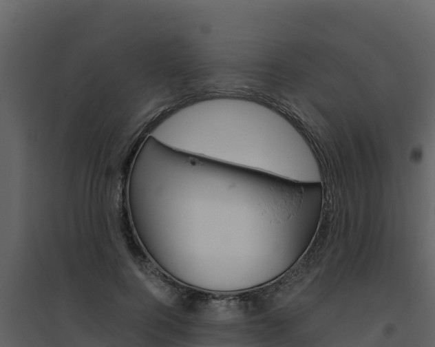 X0000094800744200711160940