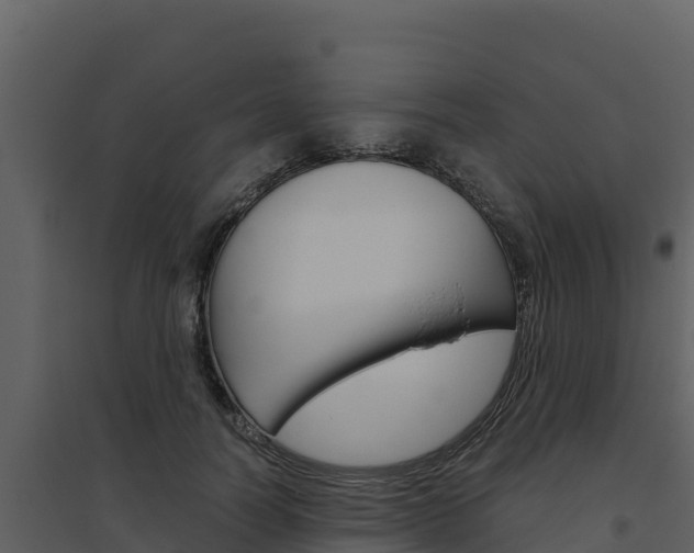 X0000094800746200711160940