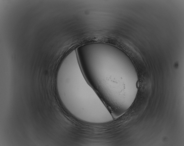 X0000094800748200711160940
