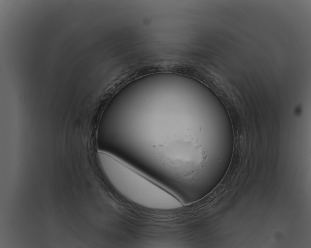 X0000094800750200711160940
