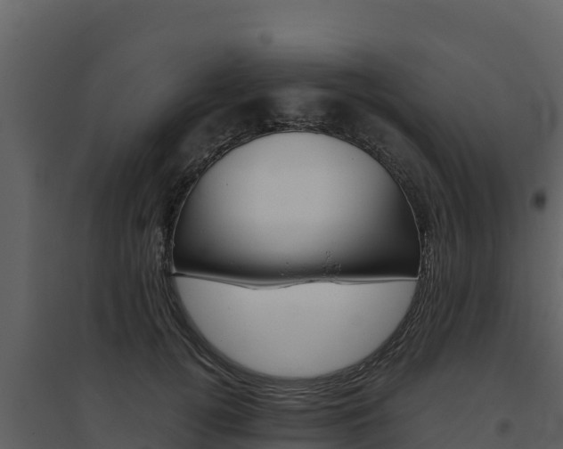 X0000094800752200711160940