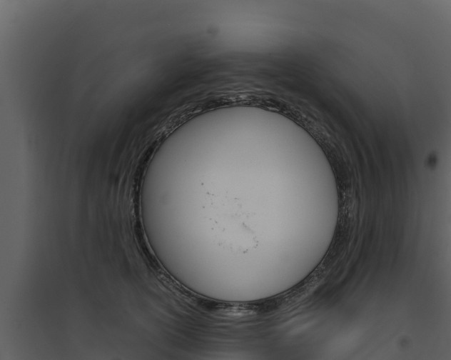 X0000094800754200711160940