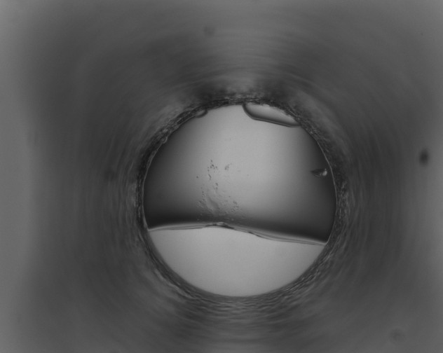 X0000094800756200711160940