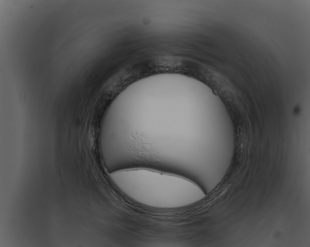 X0000094800758200711160940