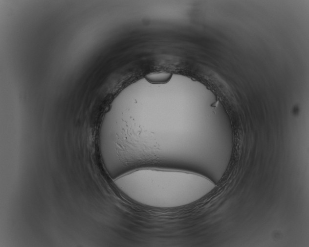X0000094800759200711160940