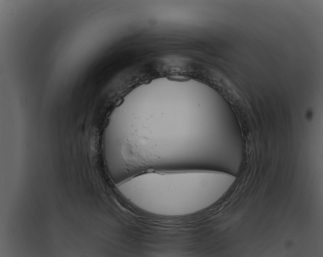 X0000094800760200711160940